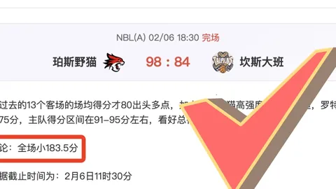 “贝蒂斯欢庆胜利，安东尼远射锁定胜局”